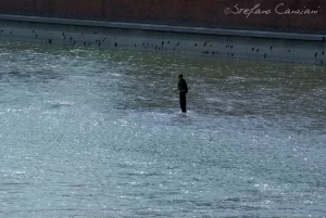 Un fiume che ingloba il pensiero Uomo pesca in piedi su un fondo acquatico, riflessi sull'acqua