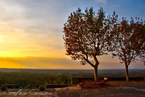 Paesaggio al tramonto con alberi Alba serena con due alberi sullo sfondo di un paesaggio collinare