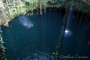 Una rara formazione naturale con acqua blu profonda e vegetazione lussureggiante