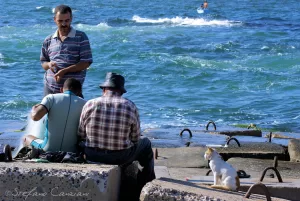 Il mare ascolta anche chi non parla Uomini in riva al mare con un gatto che osserva le onde