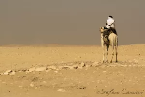 Viaggiatore nel deserto Un uomo vestito in bianco in sella a un cammello nel deserto sabbioso