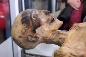 Mummia umana ben conservata esposta in una teca di vetro, con pelle essiccata e tratti del viso ancora visibili, in un ambiente museale.