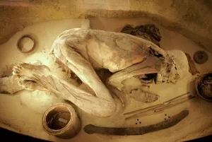 Mummia antica in posizione fetale esposta in una teca, circondata da oggetti rituali come cesti intrecciati e bastoni, su fondo sabbioso.