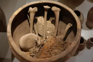 Grande vaso ceramico contenente ossa umane, tra cui un cranio e ossa lunghe, esposto in un contesto archeologico con altri recipienti.