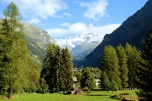 Vista sulla Val di Ghiacciai Panorama montano con pini verdi e un villaggio affacciato su ghiacciai e picchi innevati