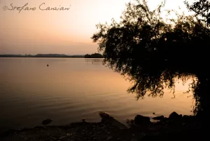 Tramonto sereno su un lago con riflesso d'acqua e silhouette di alberi