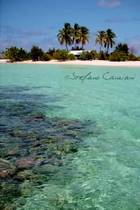 Acqua cristallina su fondale roccioso con palme e casa sulla spiaggia