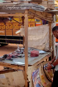 Venditore di pesce al mercato Mercato locale con un venditore che sistema il pesce fresco e alimenti vari