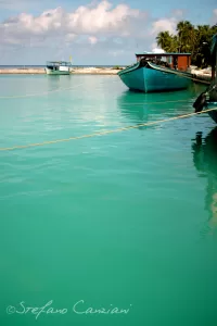 Mare Turchese e Imbarcazioni Imbarcazioni nel mare turchese con palme sullo sfondo in una località tropicale